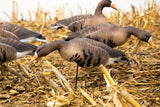 Cheap Bulk Decoy Club Fullbody Specklebelly