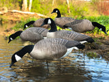 Bulk Decoy Club Canada Goose Fullbody Decoys
