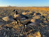 Bulk Decoy Club Fullbody Honker