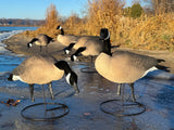 Honker Fullbodies with Ring Bases