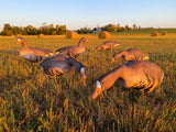 Cheap Bulk Decoy Club Fullbody Specks