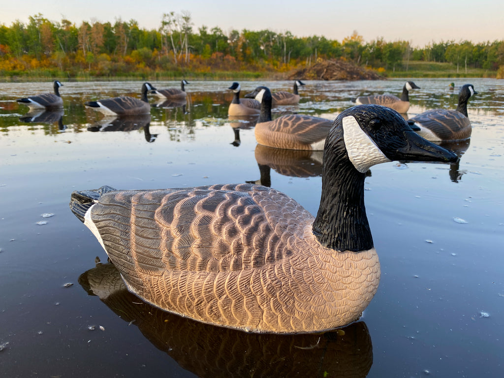Cheap Canada Goose Floater Decoys - Bulk Decoy Club