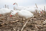 Fullbody Snow Goose Decoys - Per 6