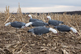 Fullbody Blue Goose Decoys - Per 6