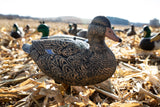 Fullbody Duck Decoys - Per 12