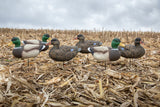 Fullbody Duck Decoys - Per 12