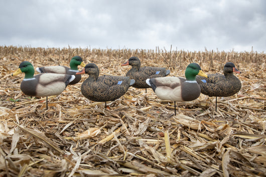 Fullbody Duck Decoys - Per 12