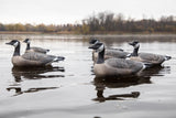 Bulk Decoy Club Canada Goose Floater