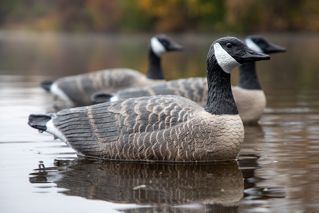 Cheap Canada Goose Floater Decoys - Bulk Decoy Club