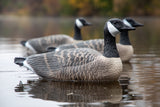 Bulk Decoy Club Canada Goose Floater