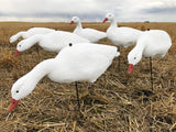 Bulk Decoy Club Fullbody Snow Goose Decoys