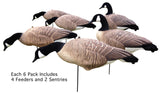 Fullbody Canada Goose Decoys - Per 6