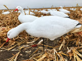 Bulk Decoy Club Snow Goose Fullbody Decoys Cheap