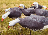 Fullbody Blue Goose Snow Goose Decoy