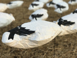 Cheap Snow Goose Windsock Decoys