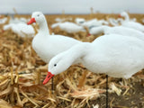 Bulk Decoy Snow Goose Decoys