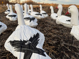 3D Sentry Snow Goose Windsock Decoys - Per 12