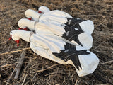 3D Sentry Snow Goose Windsock Decoys - Per 12