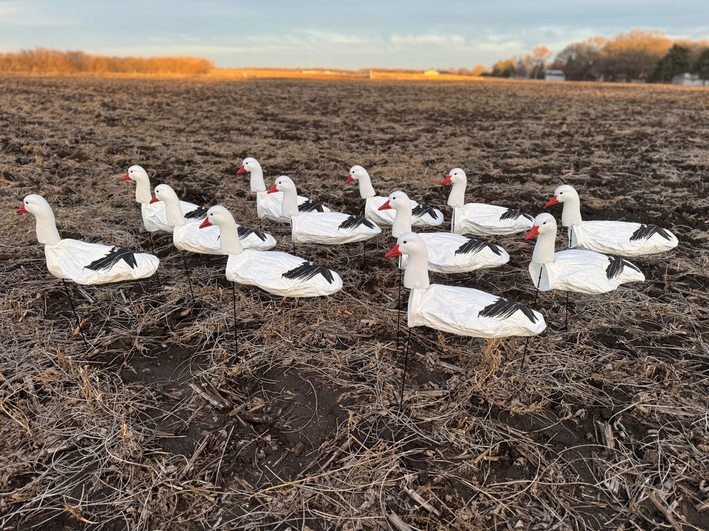 The BEST and CHEAPEST Windsock Snow Goose Decoy | + Free Shipping ...