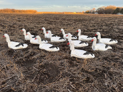 3D Sentry Snow Goose Windsock Decoys - Per 12