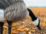 Fullbody Honker Decoy Detail