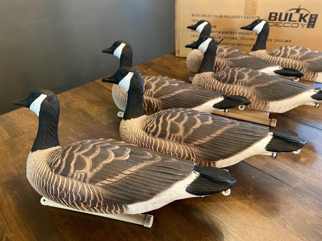 Cheap Canada Goose Floater Decoys - Bulk Decoy Club