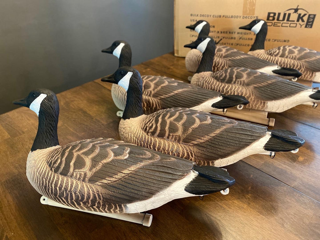 Cheap Canada Goose Floater Decoys - Bulk Decoy Club