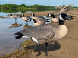 Honker Fullbody Canadas | Relaxed Pack- Per 6