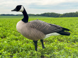 Honker Fullbody Canadas | Deluxe Pack - Per 12