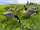 Honker Fullbody Canadas | Deluxe Pack - Per 12
