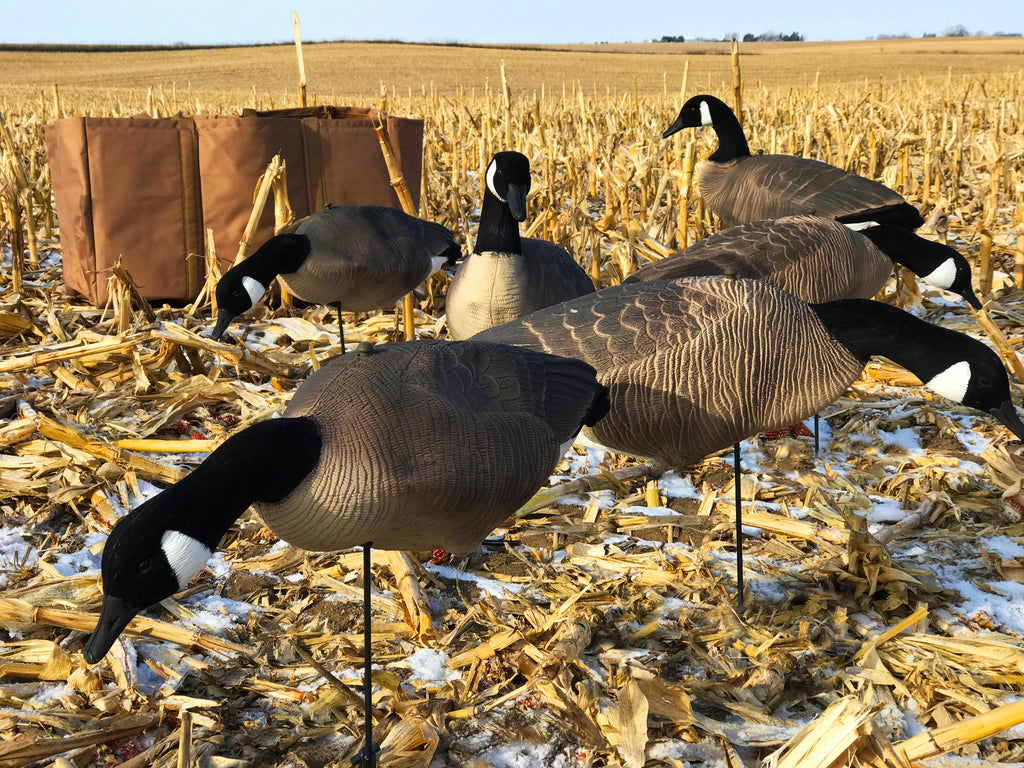 Cheap Fullbody Canada Goose Decoys Bulk Decoy Club