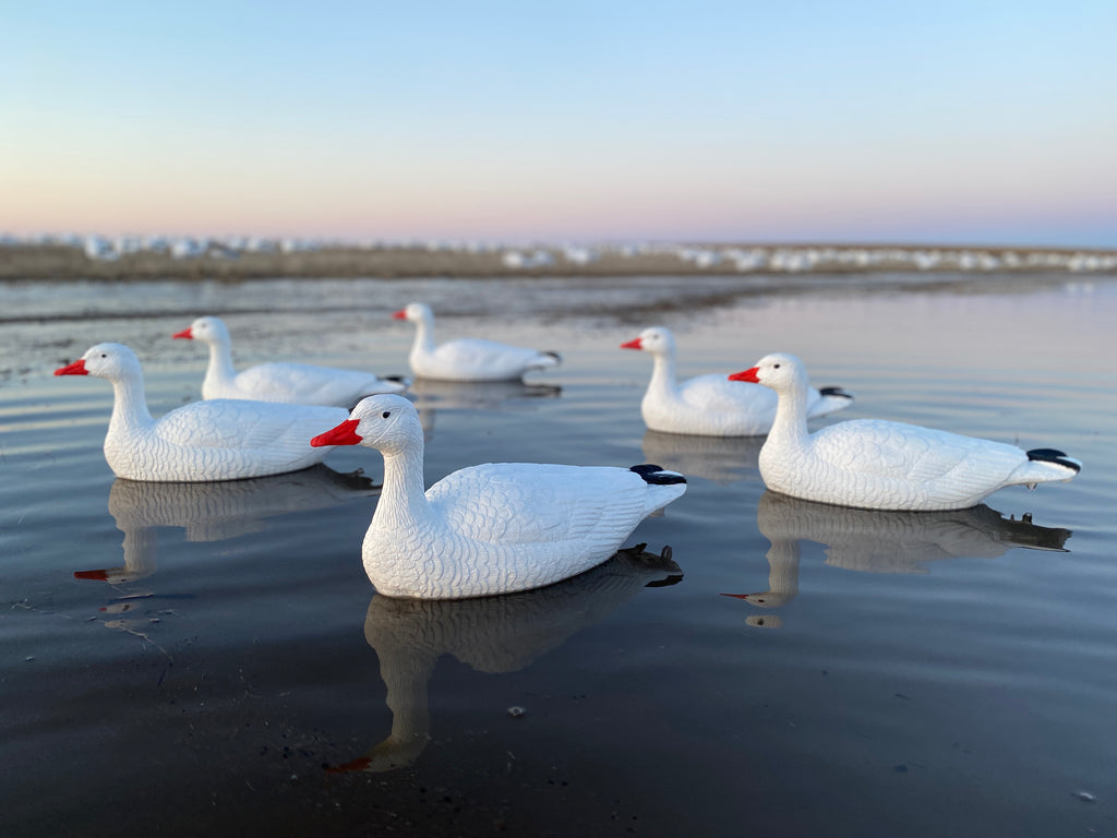 Floater Snow Goose Decoys - Per 6 - Bulk Decoy Club