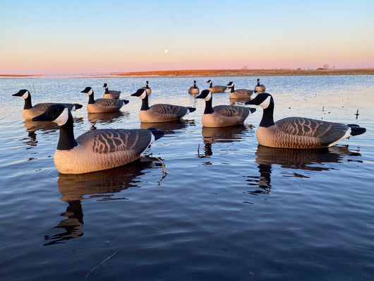 Bulk Decoy Club Canada Goose Floater