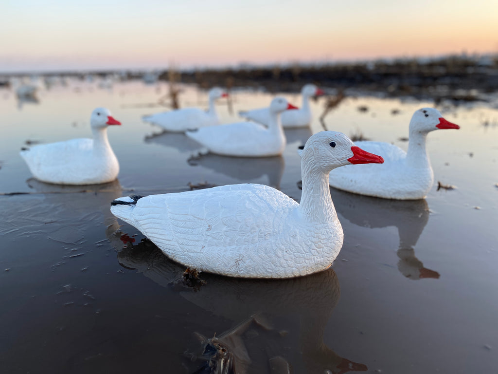 Floater Snow Goose Decoys - Per 6 - Bulk Decoy Club