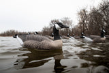 Honker Floater Canada Goose Decoys - Per 4