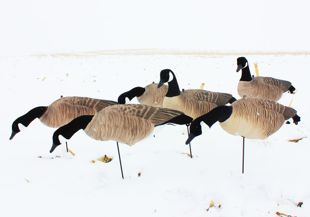 Cheap Fullbody Canada Goose Decoys Bulk Decoy Club
