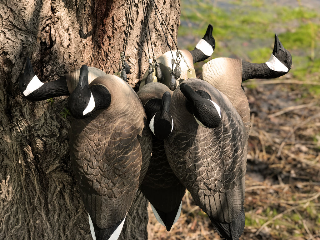 Cheap Canada Goose Floater Decoys - Bulk Decoy Club