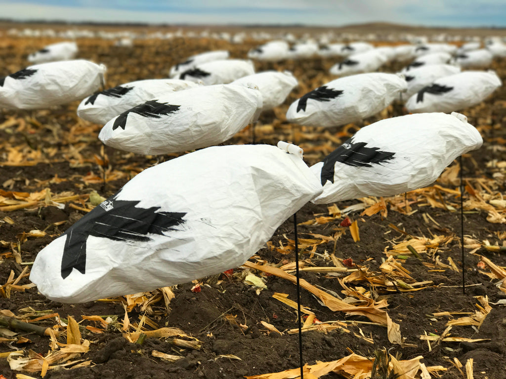 The BEST and CHEAPEST Windsock Snow Goose Decoy | + Free Shipping